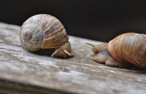 男性の心理を理解するための恋愛のコツは？