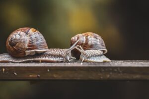 男性心理を理解するための恋愛におけるコツは？