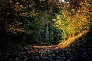私が好きな人に恥ずかしい気持ちを伝えるにはどうすればいい？