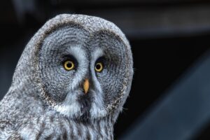 私が愛されない理由を心理学で解明する方法は？