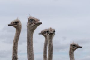 自信がない告白で勇気を出す方法は？