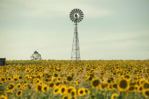 誰も私を愛してくれない理由とは何でしょうか？